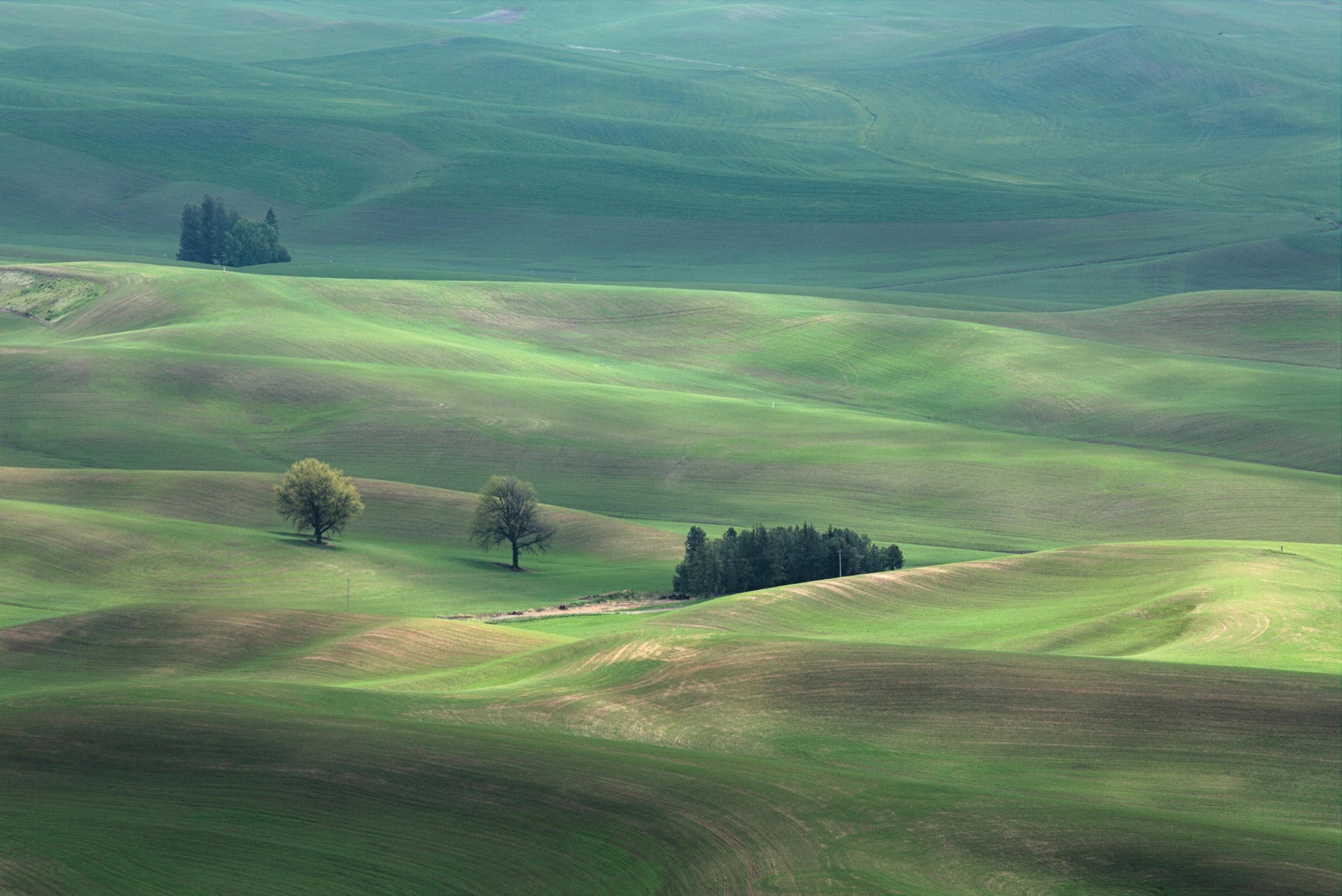The palouse